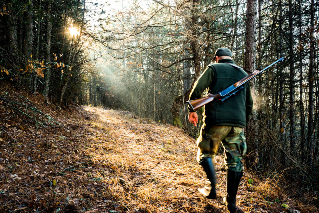 Hunter with rifle viewed from behind while walking uphill towards the sunlight that breaches through the trees.