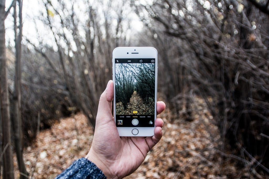 Mobiltelefon i høstskog