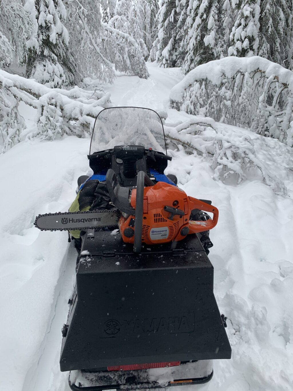 Snøscooter lastet med motorsag i snøen med veltet tre over løypa